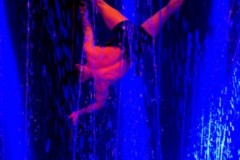 DSC00877-1