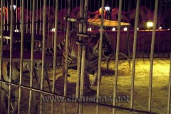 Supercircus fam. A Orfei Como 27-12-04 Vanoli sp