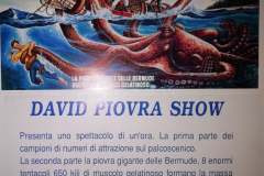 015-david-piovra-show-02