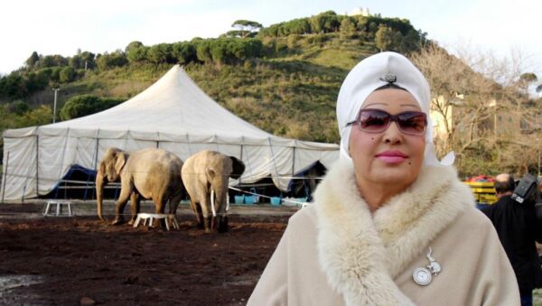 MUORE UN ELEFANTE AL CIRCO MOIRA ORFEI