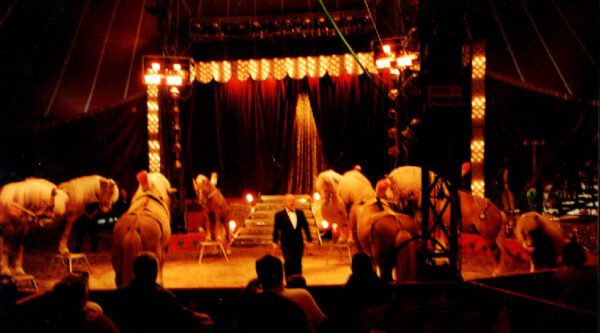 28/12/2001: CIRCO AMEDEO ORFEI: PROGRAMMA