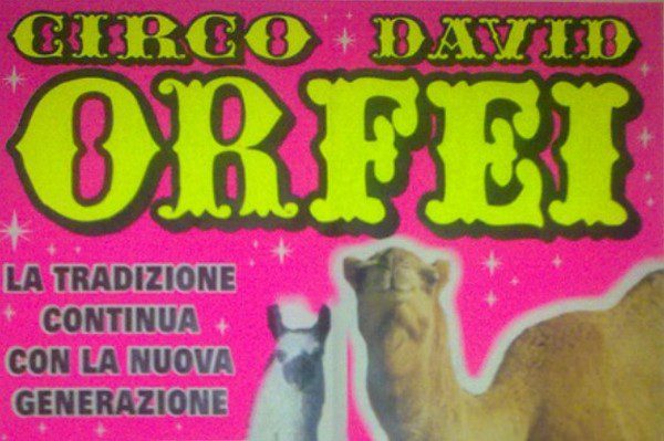 Circo DAVID ORFEI famiglia Bizzarro