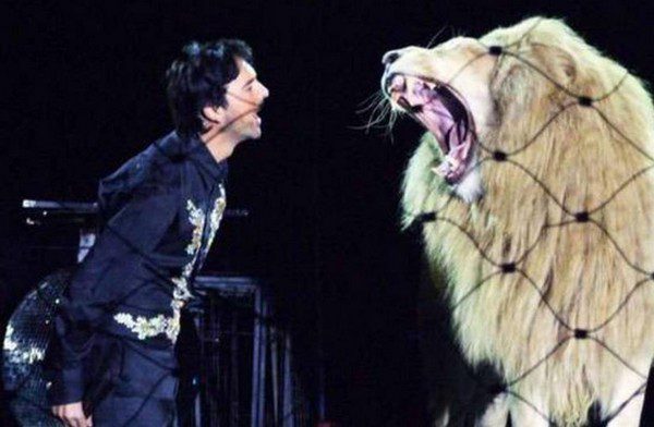 Il bacio del leone a Orio Center torna il Circo