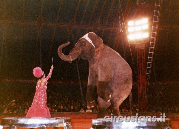 CIRCO MOIRA ORFEI: FOTO DELLO SPETTACOLO 1986