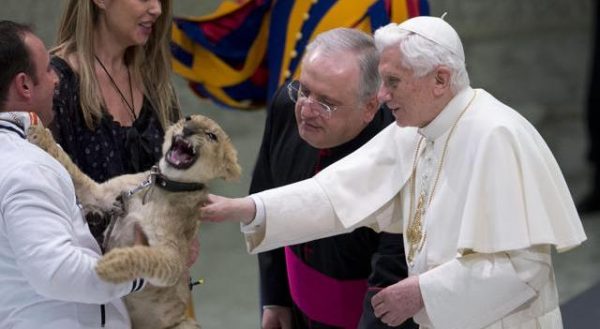 Benedetto XVI accarezza un cucciolo