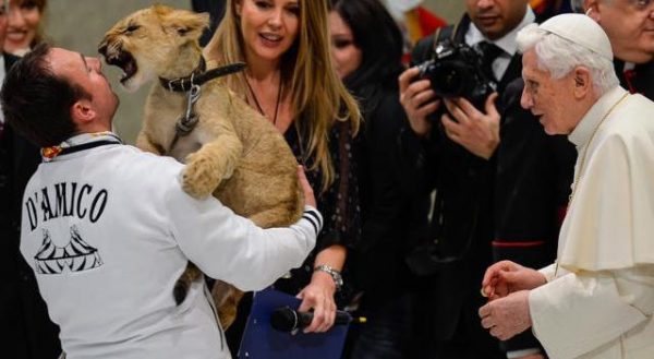 Benedetto XVI accarezza un cucciolo