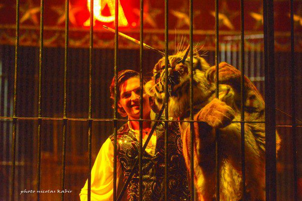 AMERICAN CIRCUS 2017/18: foto show Napoli