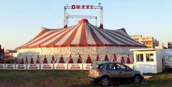 UNA RACCOLTA FONDI PER IL CIRCO ROMINA ORFEI IN CAMPANIA