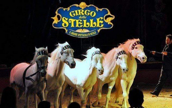 Circo delle Stelle