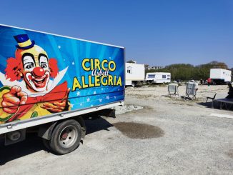 Circo Mario Orfei