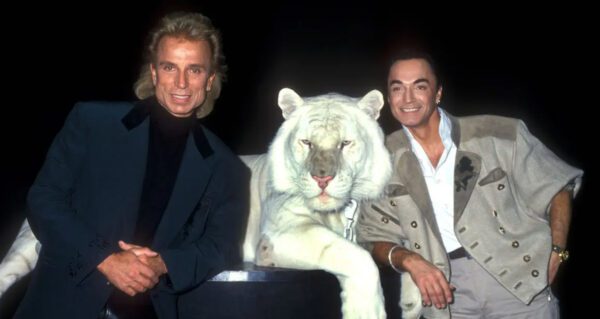 Tigre bianca azzanna l'illusionista Roy di "Siegfried & Roy"