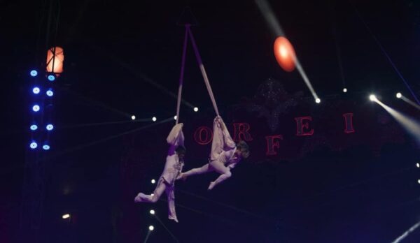 CIRCO AMEDEO ORFEI - CIRCUS WORLD AFTER COVID19