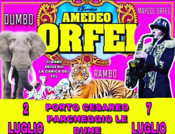 CIRCO AMEDEO ORFEI - CIRCUS WORLD AFTER COVID19