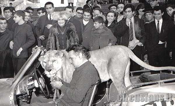 ORLANDO ORFEI: La carriera da domatore (Video 1992) - WORLD CIRCUS ARTIST