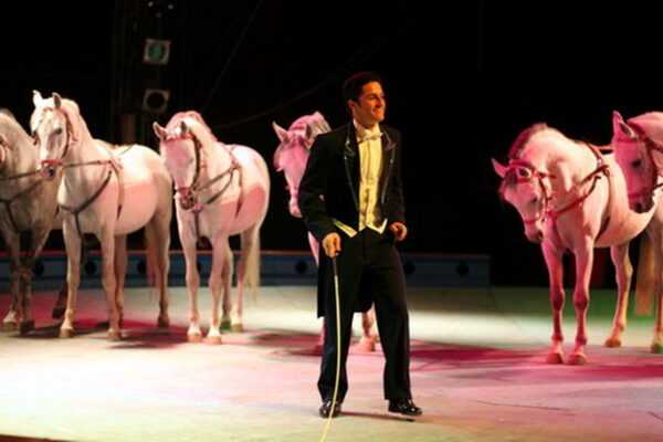 FRATELLI ERRANI - WORLD CIRCUS ARTIST