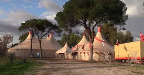 Circo Lidia Togni appello in video