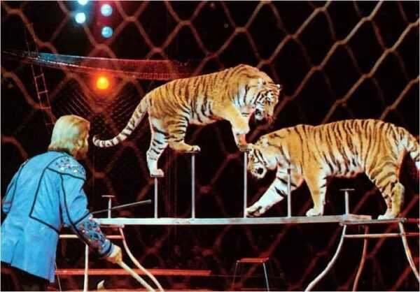 RENE' STRICKLER - WORLD CIRCUS ARTIST