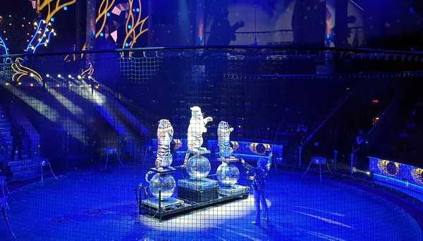 CIRCO NIKULIN "LABIRINT" - IL CIRCO ENTRA IN CASA