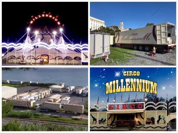 Circo Millennium