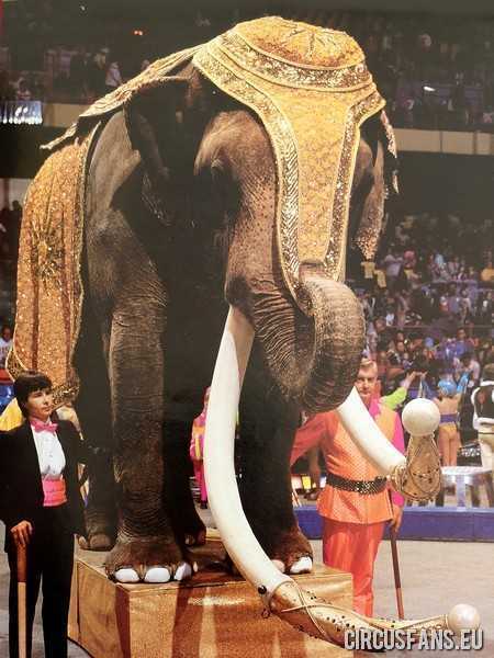 ringling bros barnum and bailey circus 1991 diretta streaming