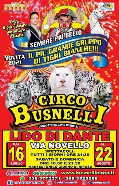 CIRCO BUSNELLI:&nbsp; LE TIGRI BIANCHE