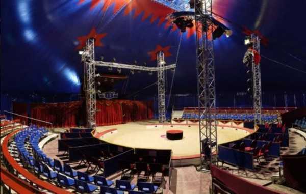 ZIRKUS STEY RIPARTE IN TOUR