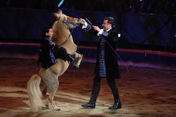 ALMANACCO DEL 30° FESTIVAL DI MONTE-CARLO – EDIZIONE 2006