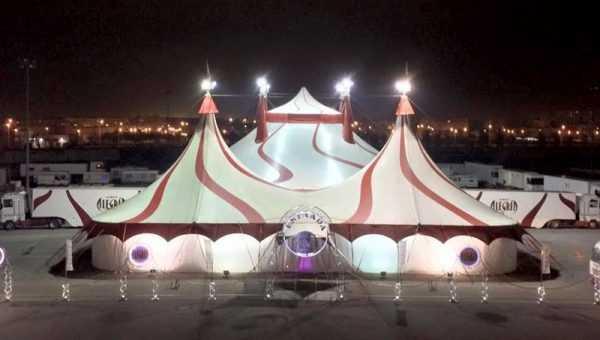 circo alegria
