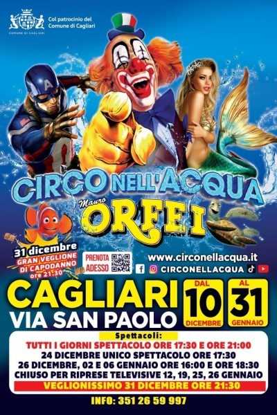 CIRCO NELL'ACQUA MARTINI: foto dello show