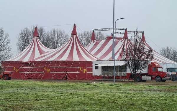 CIRCO CRISTIANI: GLI ESTERNI A NOVARA