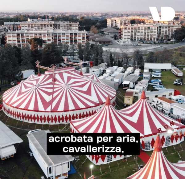 SERVIZIO AL CIRCO RONY ROLLER