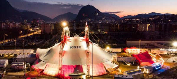 Circo Knie: fra ‘Cenerigraben’ e futuro incerto in Ticino 