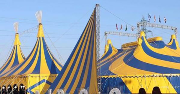 CIRCO GRAVITY NEWS SHOW A TORINO