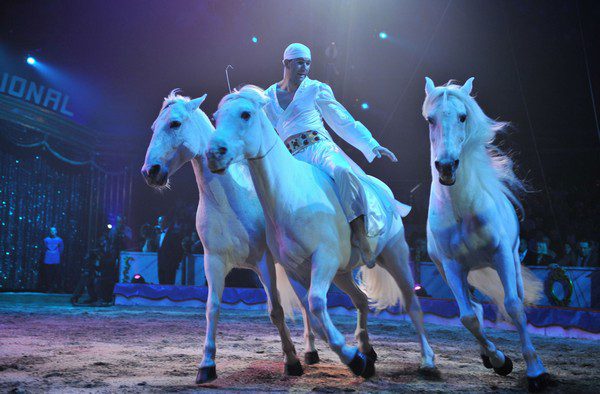 FRATELLI GIONA LORDS OF HORSES