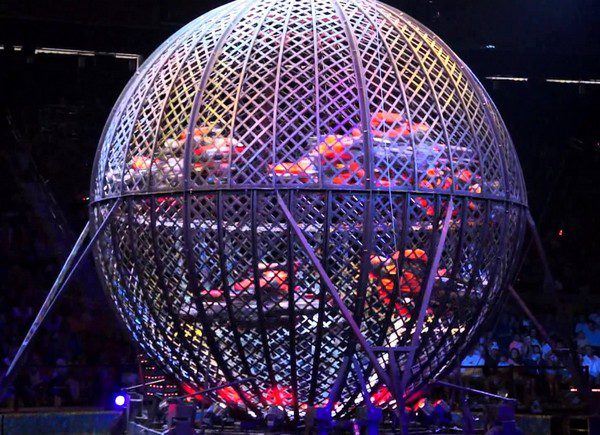 INCIDENTE AL CIRCO LIDIA TOGNI
