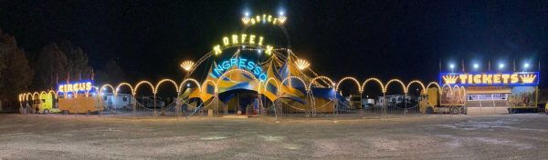 IL CIRCO MADAGASCAR A TORINO BY NIGHT