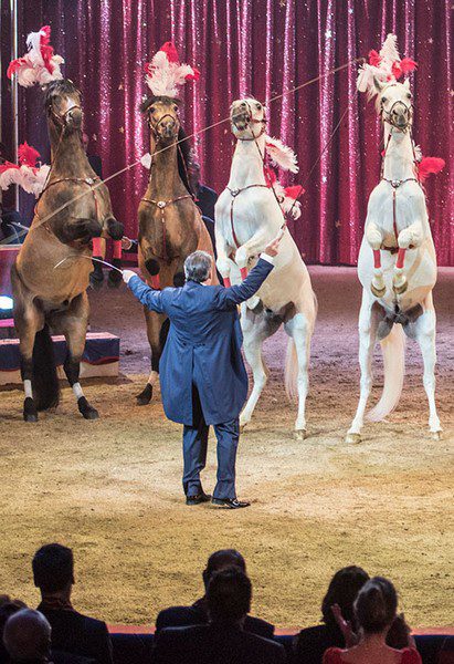 STUTTGART WELTWEIHNACHTSCIRCUS: programma