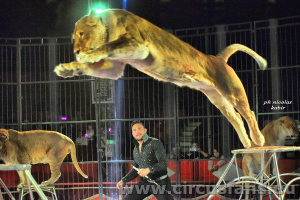 CIRCO GRECA ORFEI: il nuovo show in foto