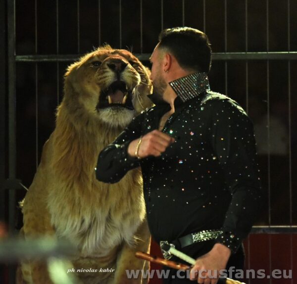 CIRCO GRECA ORFEI: il nuovo show in foto