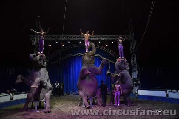 CIRCO ALTEA ORFEI FOTO DA CASTELLO DI CISTERNA