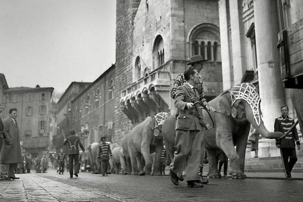Quando la magia del circo portava gli elefanti in piazza Duomo a Brescia