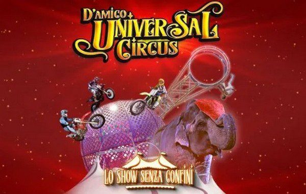 UNIVERSAL CIRCUS A VICENZA programma e foto dello show