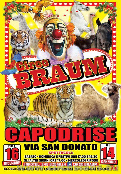 CIRCO BRAUM PER NATALE 2023 A .....