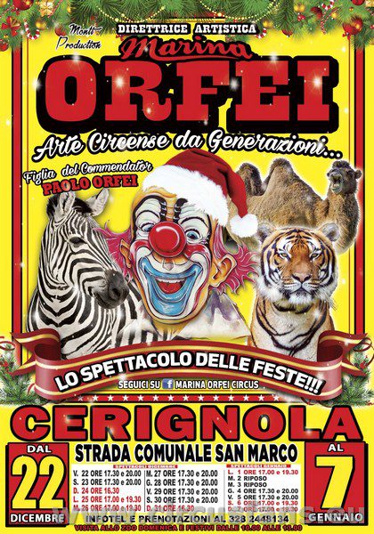 CIRCO MARINA ORFEI PER NATALE A .....