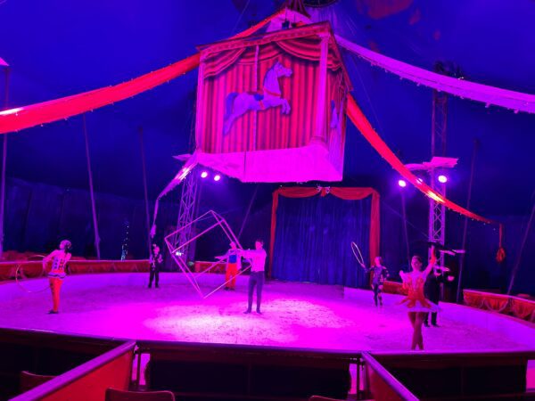 RIPARTE IL CIRCO CESARE TOGNI RIAPRE IL CIRCO CESARE TOGNI