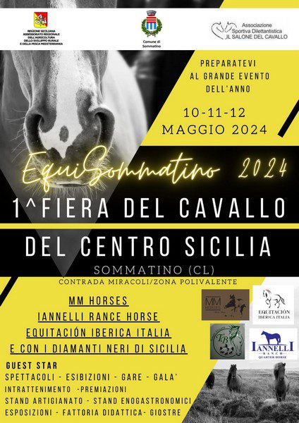 1a FIERA DEL CAVALLO DEL CENTRO SICILIA