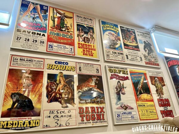 IL CIRCO COLORATO UN LIBRO SUI MANIFESTI DEL CIRCO ITALIANO