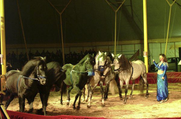 ALMANACCO 2° INTERNATIONAL CIRCUS FESTIVAL OF ITALY - EDIZIONE 2000