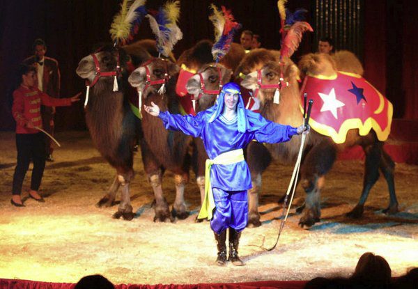 ALMANACCO 2° INTERNATIONAL CIRCUS FESTIVAL OF ITALY - EDIZIONE 2000