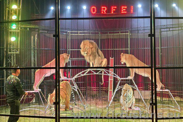 CIRCO GRECA ORFEI A GARLASCO NUOVE FOTO